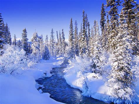 🔥 76 Snow Wallpapers For Desktop Free Wallpapersafari