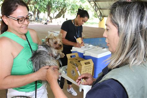 Mais De C Es E Gatos S O Vacinados No Jardim Nova Po Prefeitura