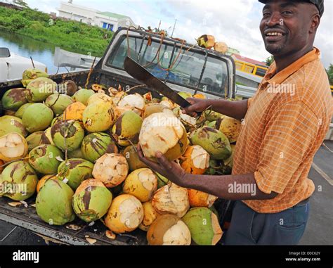 Fresh Coconuts Hi Res Stock Photography And Images Alamy