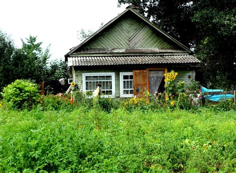 Dacha garden and house. | House in nature, Cottage garden, Old houses