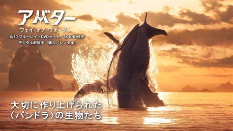 『アバター：ウェイ・オブ・ウォーター』いよいよ本日ブルーレイ＋dvdセット、4k Uhd発売！“海の生物”に迫る映像をボーナス・コンテンツから