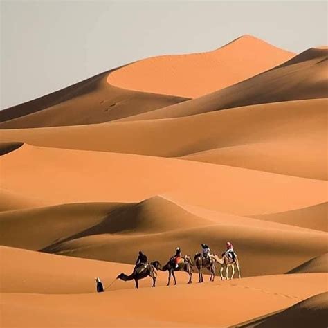 D As De Ouarzazate Al Desierto De Merzouga Excursi N