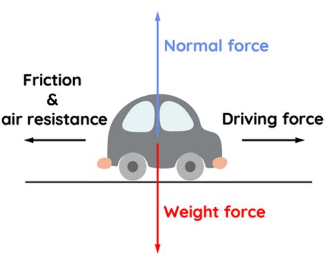 Understanding Equilibrium and Net Force – HSC Physics – Science Ready