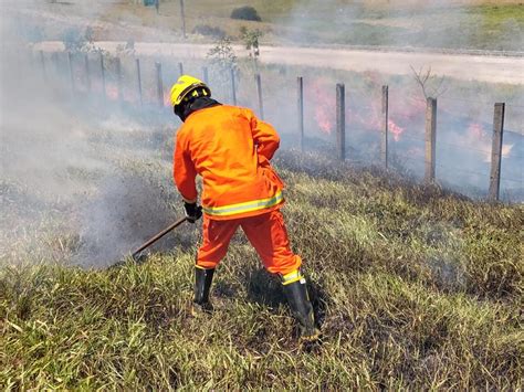 Incêndio em vegetação causa acidentes na BR 101 Alagoas 24 Horas