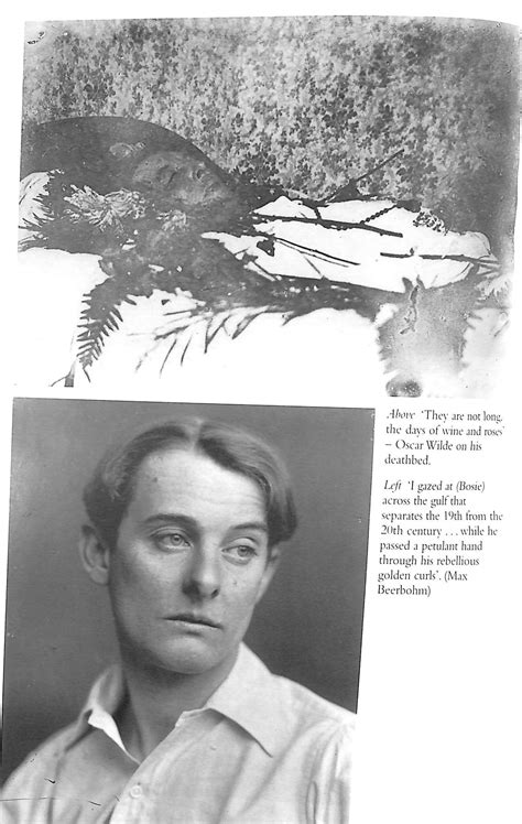 Bosie A Biography Of Lord Alfred Douglas 2000 Murray Douglas Signe