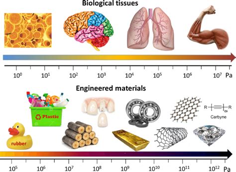 Elastic Moduli Of Currently Available Materials Range From Pa To