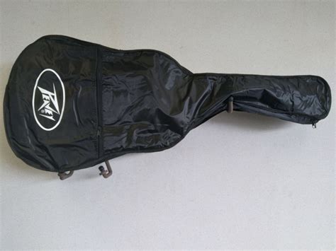 Peavey Dw1 Dw 2 Acoustic Guitar Gig Bag Ebay