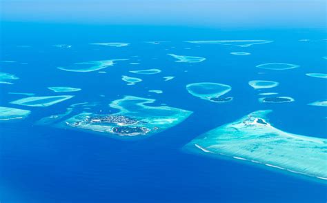 Maldives 2023 November - North American Divers