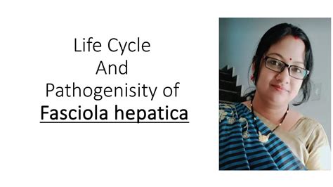 Life Cycle And Pathogenicity Of Fasciola Hepatica Ssblectureship