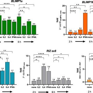 Gene Expression Analysis Of PRDM1 And PRDM2 In Jurkat Cells On The