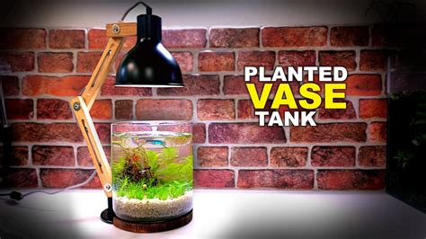 Aquascape Tutorial Vase Aquarium How To Step By Step No Filter