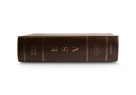 ESV Study Bible, Large Print (TruTone, Brown/Cordovan, Portfolio Design