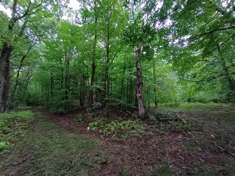 Acres In Schoharie County New York