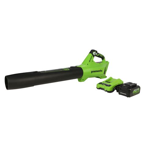 Greenworks Volt Cfm Mph Brushless Handheld Cordless Electric