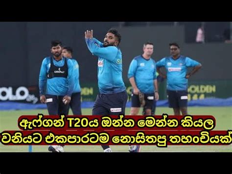 Huge Blow Sri Lanka T20 Captain Wanindu Hasaranga YouTube