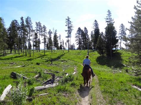 Dream Packer Trail Adventures Harriman State Park Idaho