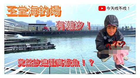 【玉堂海釣場】竟然放這種高級的魚！？《海釣場咬起來！》ep1秋潮fishing 釣り 海釣場 Youtube