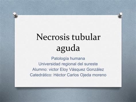 Necrosis Tubular Aguda PPT