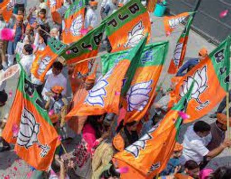 Nagaland Assembly Election List Of Bjp Candidates Check Names