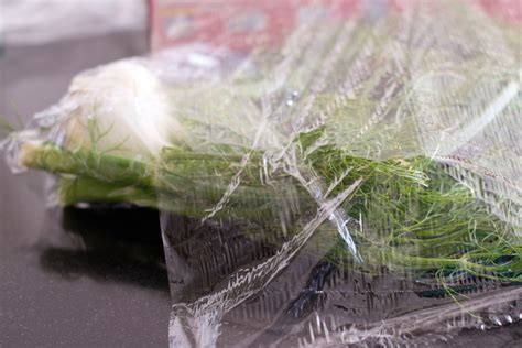 How to Choose Fennel: 4 Steps (with Pictures) - wikiHow