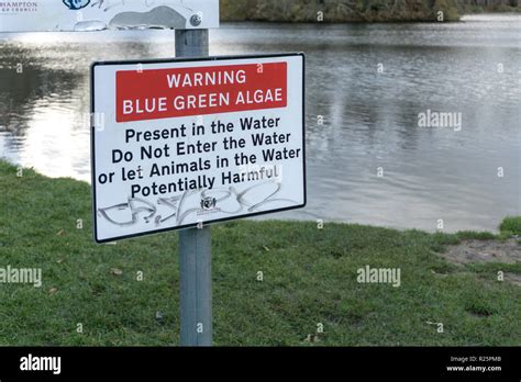 Warning Blue Green Algae Sign By The Side Of Delapre Lake Northampton