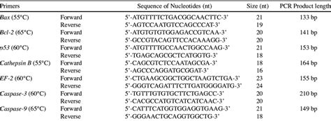 Forward and Reverse Primer PCR Sequences for Real-time PCR | Download Table