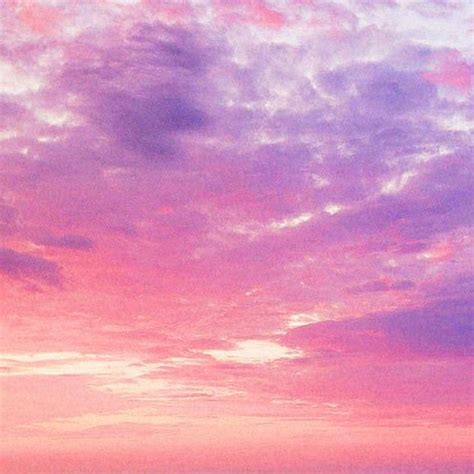 The Sky Is Pink And Purple In Color