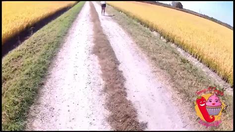 Ladymuffin In Camporella Con La Canaglia Free Sex Video RedTube