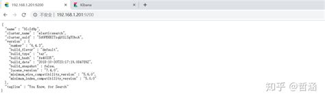 Elasticsearch安装 知乎