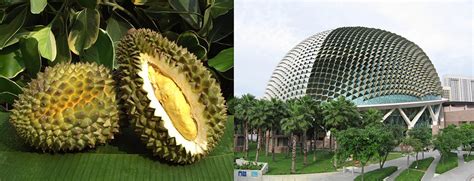 How Biomimicry Enhances Creativity in Architecture - Arch2O.com