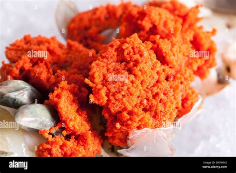 Lobster Eye Hi Res Stock Photography And Images Alamy