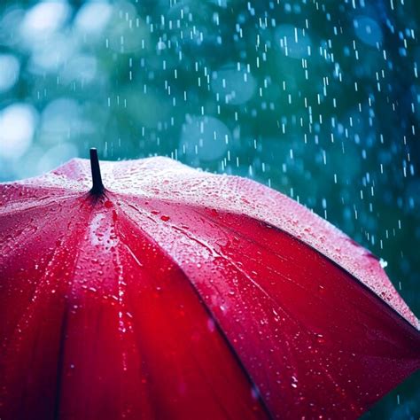 Premium Photo Rain On Umbrella Weather Concept