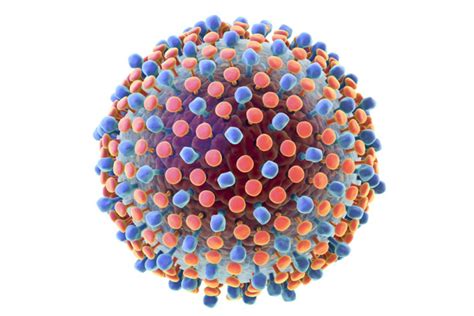 Hepatitis C Virus – Africa CDC