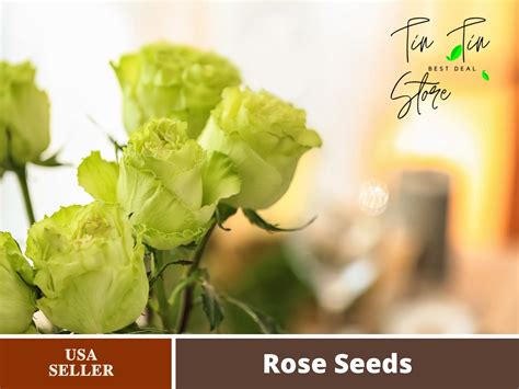 30 Rare Seed Bright Green Rose Seeds 1076 Authentic Seeds Flowers Seeds Rose Seeds Herb Seeds