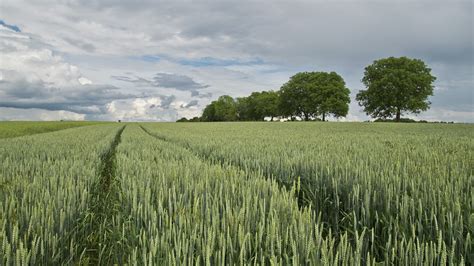 Sardegna Agricoltura Ecco Il Bando Terra Ai Giovani