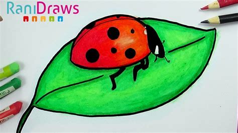 Catarinas Para Dibujar Aprende Cómo Dibujar Una Mariquita Paso A Paso