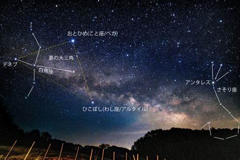 今夜は星を見るのに最適！ 七夕の星を見上げてみよう【星のソムリエ®︎ Harukaの星空入門】｜【公式】オトナミューズ ウェブ（otona Muse）