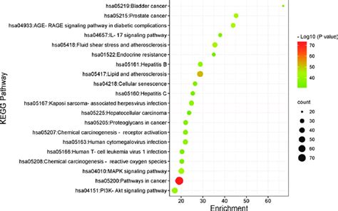 The Bubble Chart Of The Top 20 Enriched Pathways In KEGG Analysis KEGG