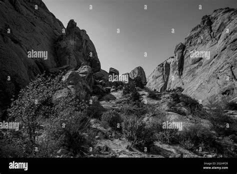 On The Capitol Gorge Trailhead At The End Of The Scenic Drive In