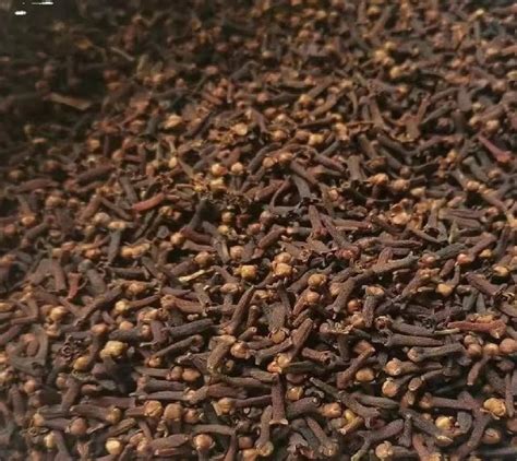 Dry Brown Whole Cloves Packaging Size Kg At Rs Packet In