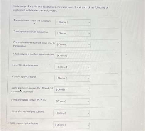 Solved Compare Prokaryotic And Eukaryotic Gene Expression Chegg