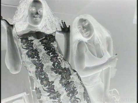 Hot Black Babes Share Their Man S Cocks From SugarWalls By Elegant Angel HotMovies