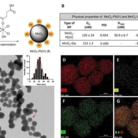 A Scheme Of The Preparation Of Mno Pt Iv Nanostructures By