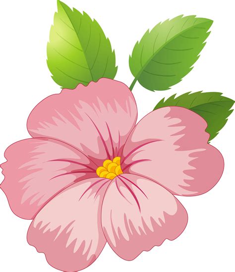 Pink Flower Vector Png Flower Png Images Vector Flowers Flower Drawing