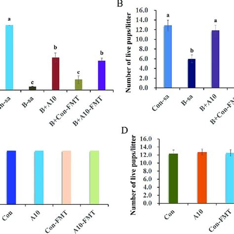 Mouse Pregnancy Rate And The Number Of Live Pupslitter A Mouse