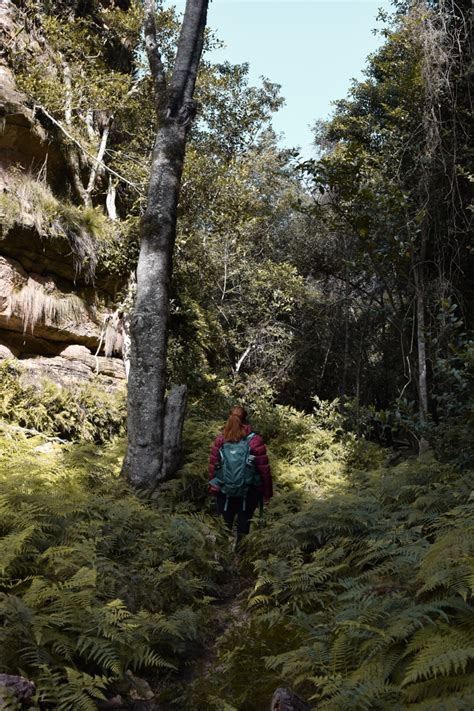 Hiking Ferntree Gully Circuit Rylstone Wander Mak