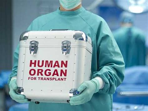 What Happens When You Donate Organs