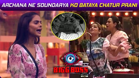 BIGG BOSS 16 Live Update Archana Ne Soundarya Ko Kaha Chatur Prani