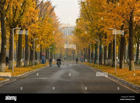 Chengdu University Of Electronic Science And Technology Hi Res Stock