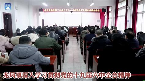 恩施市龙凤镇深入学习贯彻党的十九届六中全会精神恩施市龙凤镇精神新浪新闻